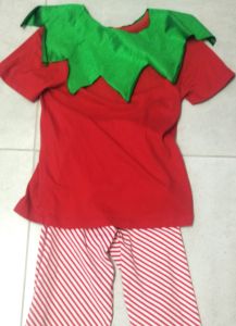 Kids Costumes to Hire -  Elf - 8 Years